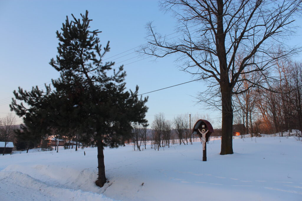 Nowica - przy drodze